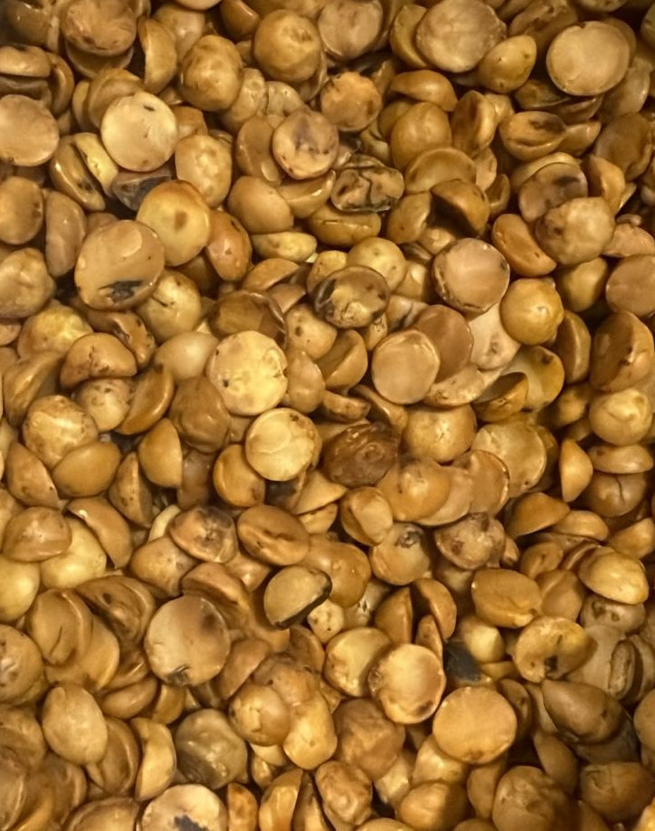 Avellana chilena 25kg