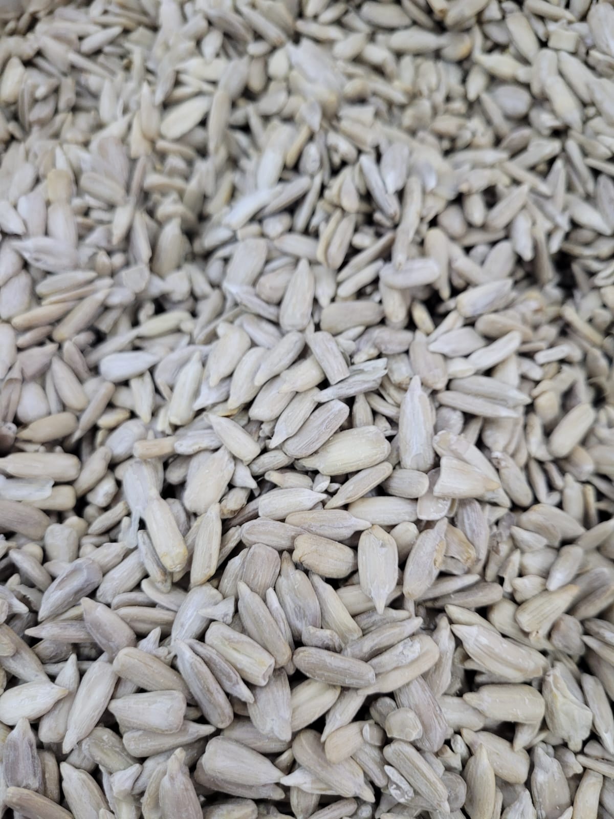 Semilla de maravilla 22.68kg