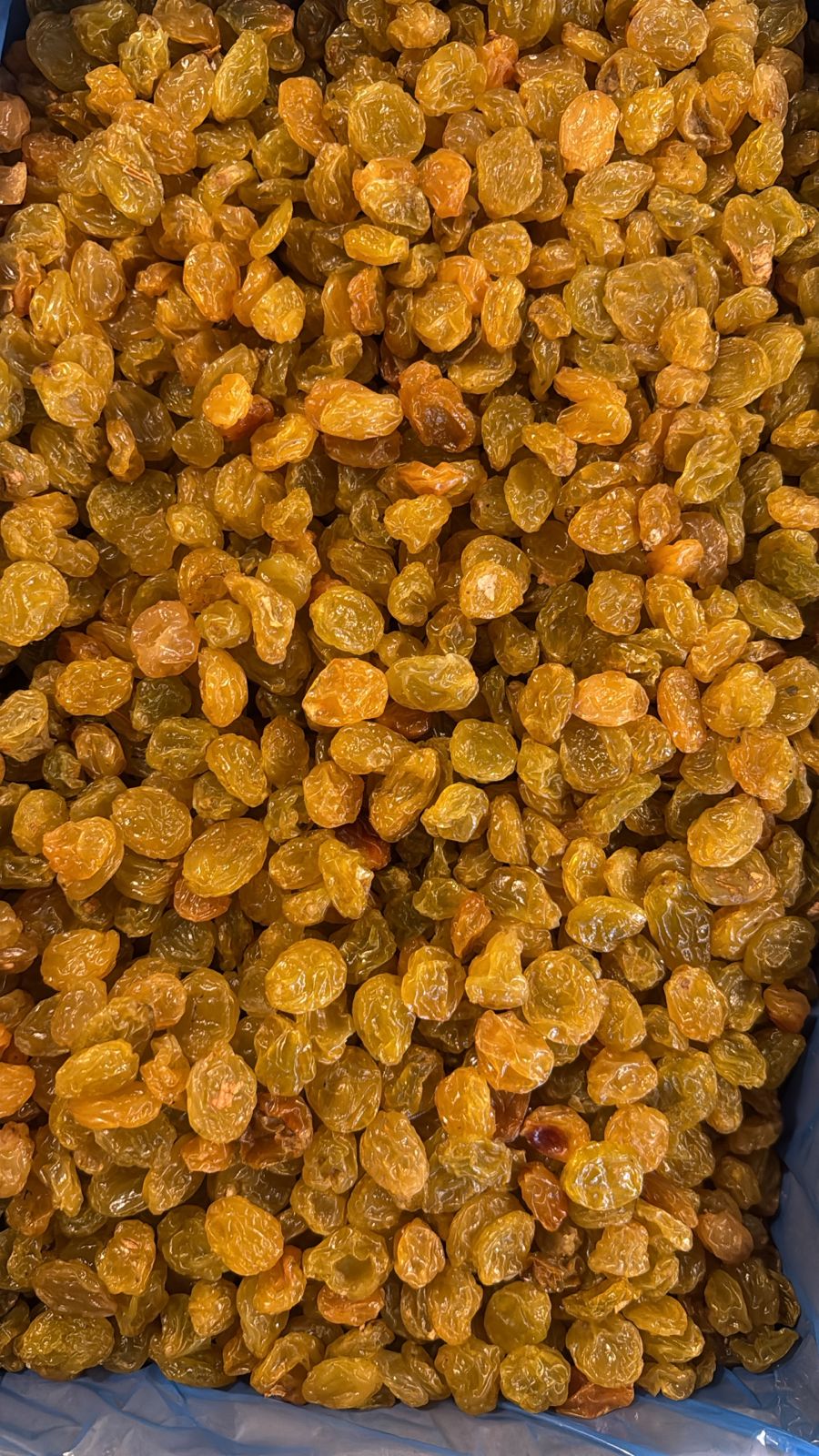 Pasa rubia jumbo 10kg