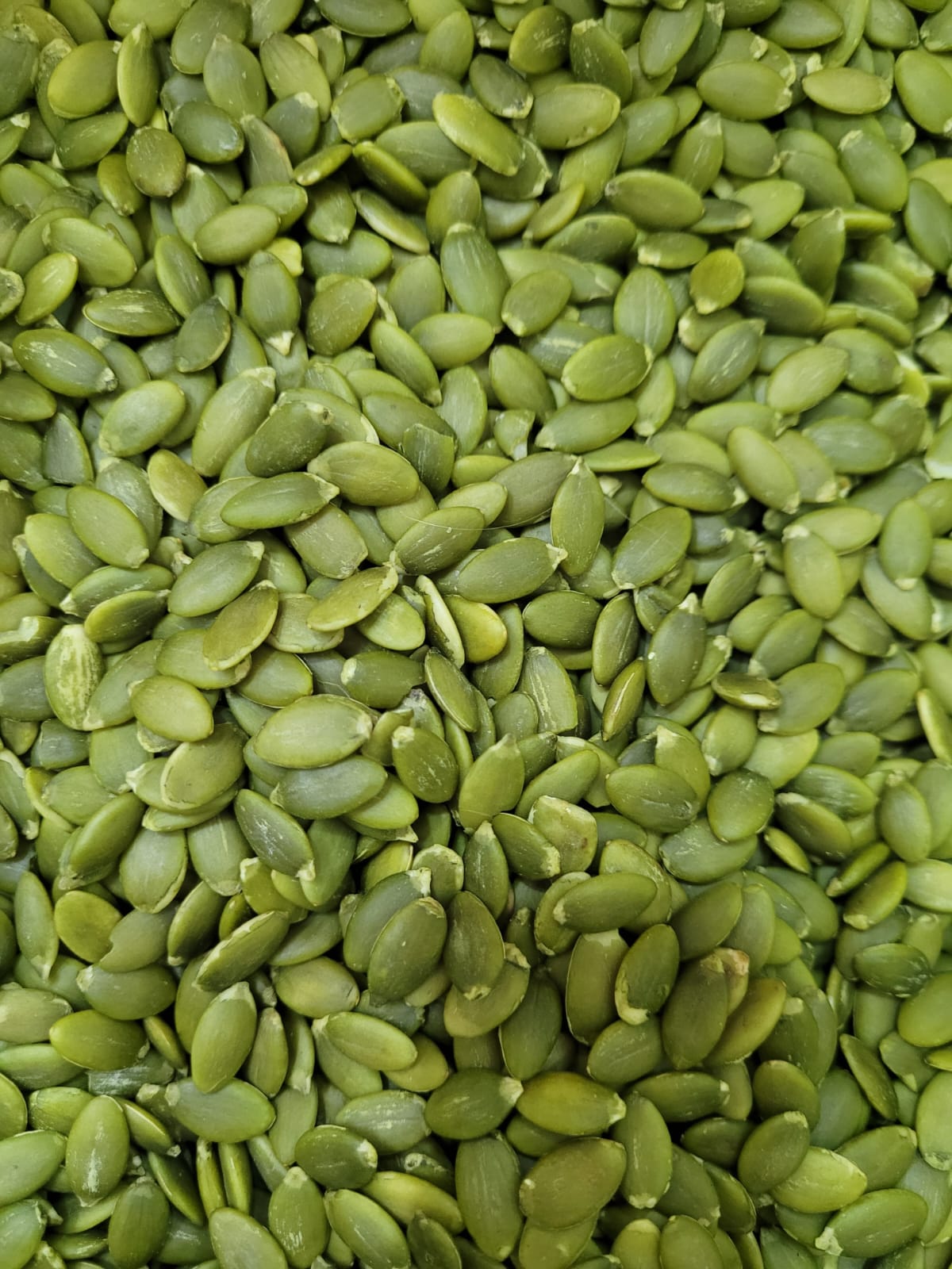 Semillas de calabaza 25kg