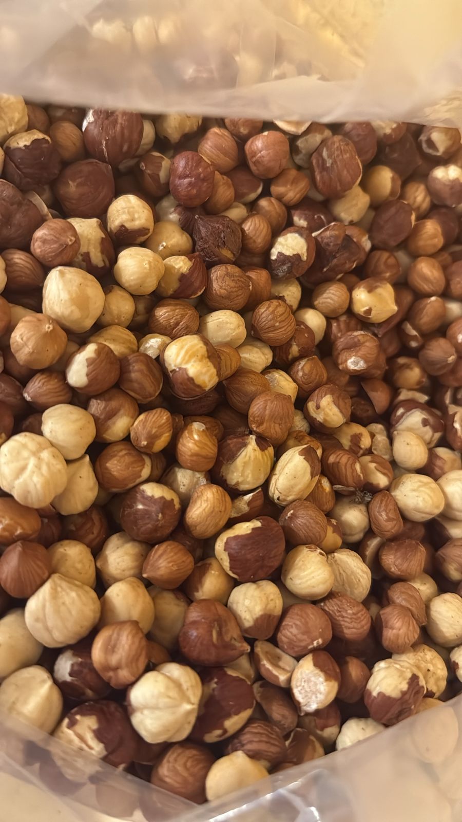 Avellana europea 10kg