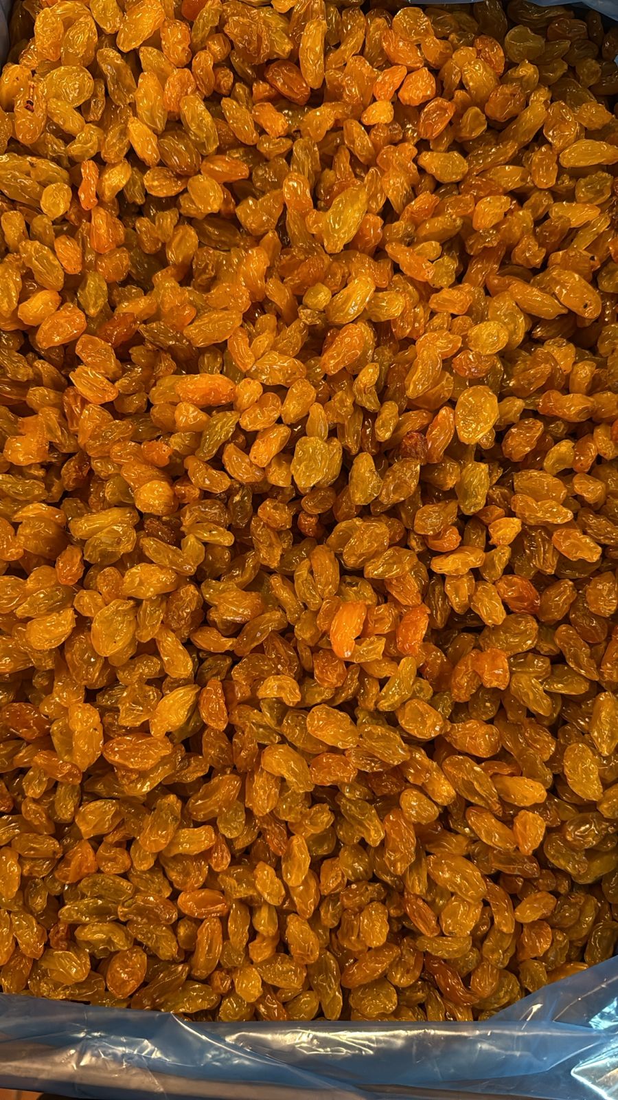 Pasa rubia mediana 10kg